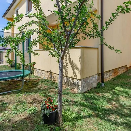 Stinjan Villa Pula